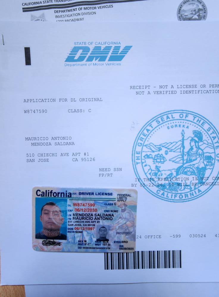 fake cdl