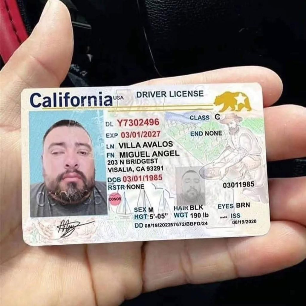 fake driving license